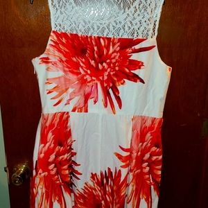 Studio One New York white/coral floral dress size 18